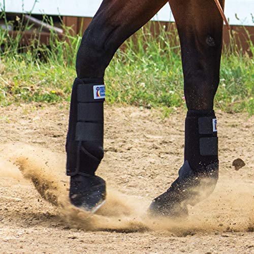Dura-Tech Extra Support Neoprene Horse Sport Boots | Medium 15-16.2 hh, Black | Ideal for Training and Trail Riding | Cool & Light | Contour Shape for Front Leg Tendon and Ankle Protection