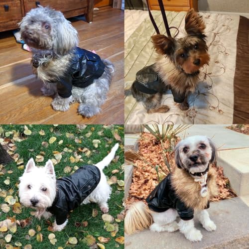 LESYPET Dog Leather Jacket for Small Dogs, Waterproof Dog Winter Jacket Puppy Coat with Fleece Lined, Ultra Warm Fur Collar Doggie Coat, Red M - color: Wine Red, size: Medium