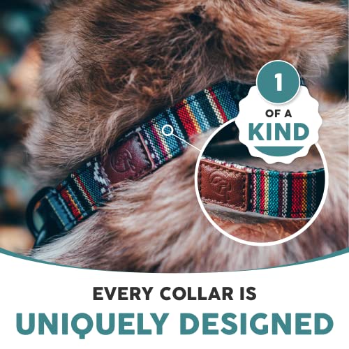 Embark Dog Collar - Adjustable Heavy Duty Outdoor Pet Training Collar - color: Mayan, size: Large