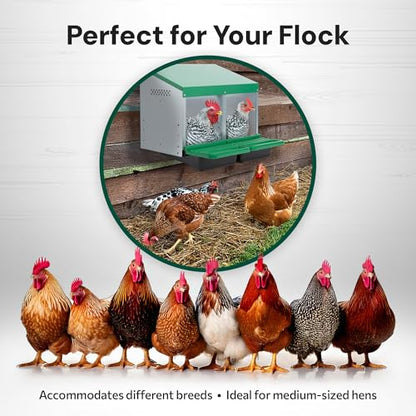 Homestead Essentials Classic Style 2 Compartment, Forward Rollout and Rollaway, Hen & Chicken Nesting Box with Integrated Perch and Protective Egg Laying Collection Lids - size: 20.8"L x 20.5"W x 20.0"H
