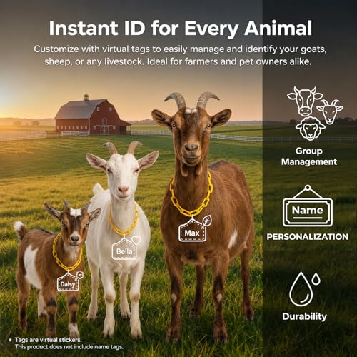 10FT Cut-to-Fit Livestock Goat Collar with Quick Links | Custom Length, Lightweight, Sturdy, Plastic Chain Goat Collars for Mini Goats, Does, Bucks, Sheep