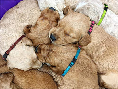 PARTNER Puppy ID Collars Identification Whelping Super Soft Nylon Adjustable Breakaway New Born Pets with Record Keeping Charts 8pcs
