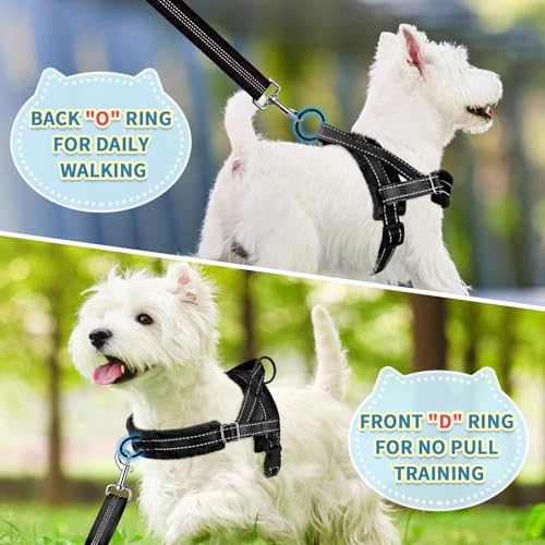 SlowTon No Pull Small Dog Harness and Leash Set with Front Clip | Soft Padded, Neck & Chest Adjustable, Lightweight, Anti-Twist, Puppy Vest Harness Pet Lead Combo for Small Medium Dog, B, XS - color: Black, size: X-Small