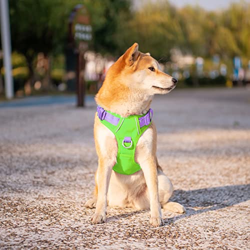 PHOEPET No Pull Dog Harness, Unique Colors Reflective Adjustable Dog Vest - color: Green Base & Purple Straps, size: Small