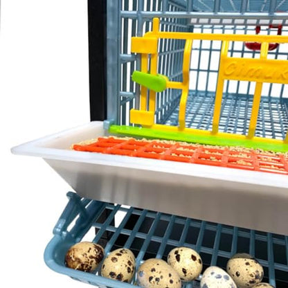 Hatching Time Jumbo Quail Cage Layer Addition – Jumbo Flooring Expansion Add-On for Quail Housing │ Removable Dividers, Extended Waste Trays, Egg Roll-Out Design, Easy-Clean ABS Plastic - style: Jumbo