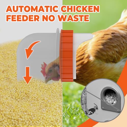 4 Port Automatic Chicken Feeder, No Waste Poultry Feeder with Lid - size: 4 Ports (25 LBS)