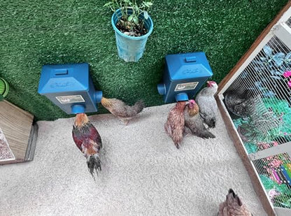 Chicken Feeder, Hanging Automatic Chick Feeders, Chicken Coop Accessories(52 Pounds / 2 Pcs) - color: Midnight Blue