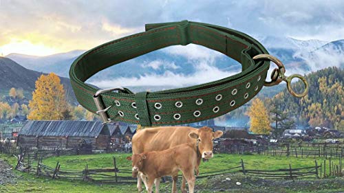 Adjustable Four-Layer Nylon Thickened Cow Collar with 2-Rows Metal Buckle and Traction Chain for Horse, Sheep, Cattle, Dog, Camel (57inch) - color: 57inch