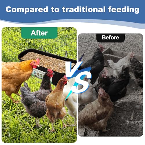 YAYODS 6 Pack Goat Feeders Hanging 3.5 Quart Chicken Feeder Waterer Trough, Goat Mineral Feeder Fence Feeder for Livestock Poultry, Duck, Black