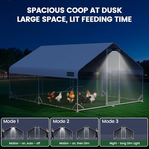 CHIKENCOOP 2-Room Metal Chicken Coop Run, Hardware Cloth, Solar Light - size: 156.0"L x 118.0"W x 78.0"H