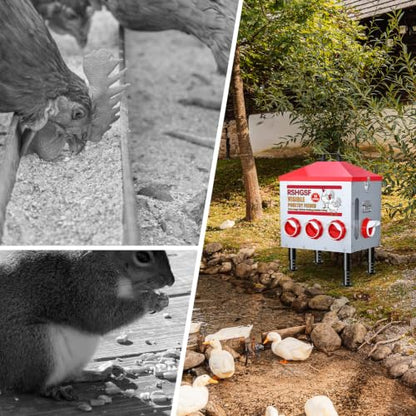 Stainless Steel Automatic Chicken Feeder, 55 lb, 8 Feeding Ports, Waterproof, Rodent Free, Outdoor Metal Poultry Feeder with Adjustable Anti-Slip Feet