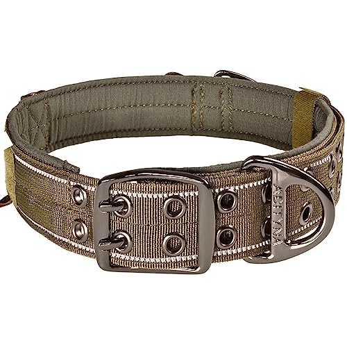 ADITYNA Heavy Duty Green Dog Collar for Medium Dogs with Traffic Handle - color: Ranger Green, size: Medium: Fit 15-19" Neck