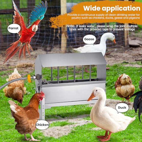 Automatic Chicken Waterer Stainless Steel Chicken Water Dispenser