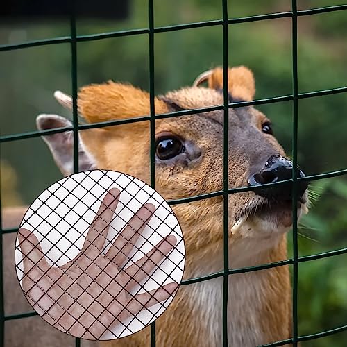 Black PVC Coated 1/2" Hardware Cloth 48"x50' 19G Chicken Wire Fencing - size: 1/2 inch 48'' x 50'