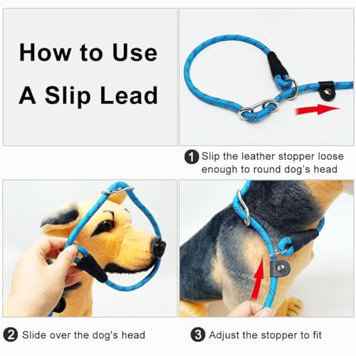20FT Long Slip Lead Dog Training Leash 3/8" Thick Nylon Rope Leash | Reflective Anti-Choking Slip Leash with Comfortable Handle, Quick Control Medium Large Dogs No Pull (20ftx3/8", Blue) - color: Blue, size: 3/8in x 20ft
