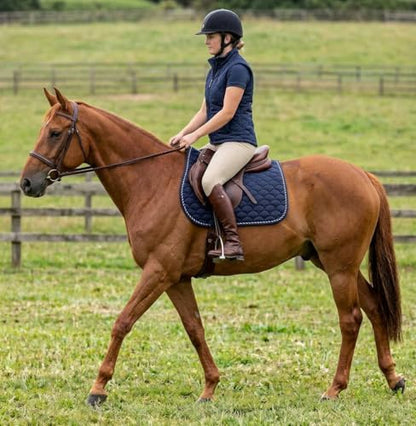 Horse English Quilted Contoured All-Purpose Trail Saddle Pad 7296 - color: Navy, size: 23" (Spine) x 20" (Drop)