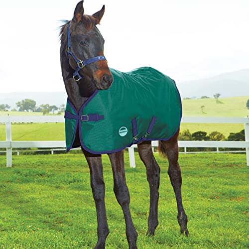 WeatherBeeta 1200D Foal Standard Neck Medium II, Hunter/Navy, 36" - size: 36"