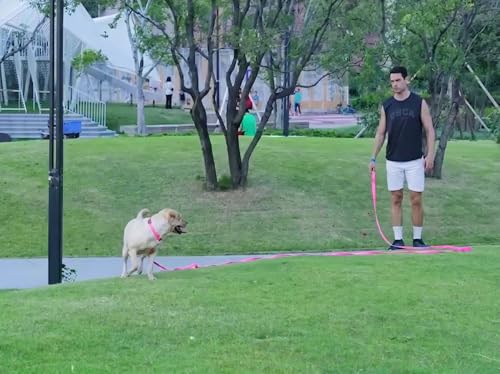Long Dog Leashes for Medium,Large & Small Dogs Training 15FT/20FT/30FT/50FT/100FT - color: Pink, size: 1 Inch x 20 Feet