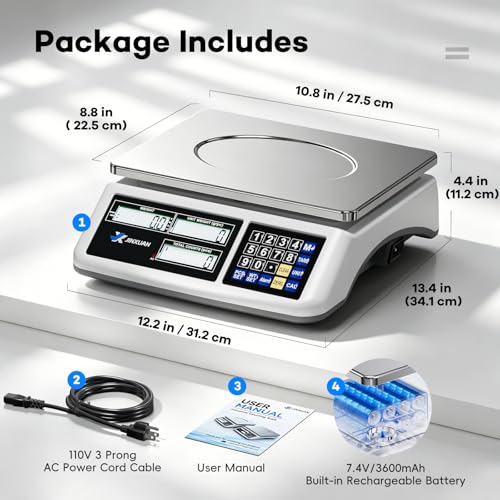 Counting Scale (66lb/30kg, 0.1g), lb/oz/g/kg Industrial Parts Scale with Dual LCD Display, Digital Inventory Scale for Small Parts Coins Pieces Tickets, Precision Gram Scale with Alarm Mode - style: 30kg x 0.1g with 3 Displays