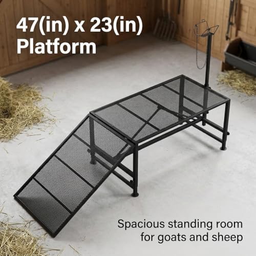 Heavy Duty Goat Stand with Ramp, Sheep Shearing Stand for Farms Barns Grooming Areas, Adjustable Goat Milking Stand with Ramp for Daily Animal Care