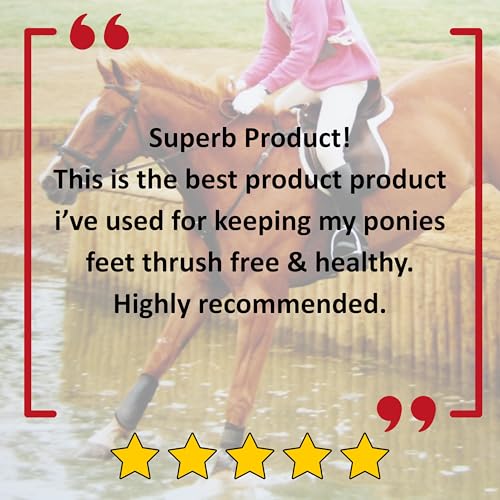 Sole Cleanse - Horse Hoof Thrush Spray (500ml) | Hoof Cleansing Spray | Hoof Sole & Frog Thrush Cleansing Spray | Natural Formulation | Non-caustic | Hoof Cleaner