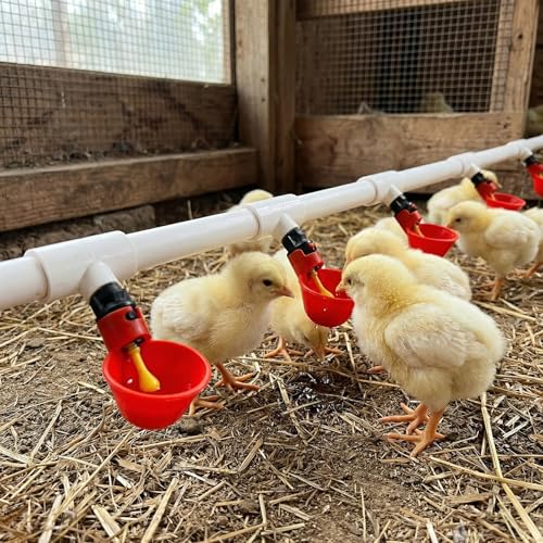 10 Pack Automatic Chicken Waterer Cups with 1/2" PVC Tee Fitting, Chicken Water Feeder Chicken Waterer Cups for Chicken Quail Pigeon Duck