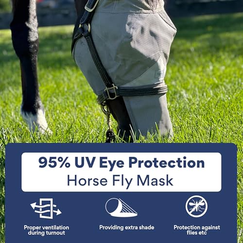 Horse Fly Mask with Nose Cover & Ears, UV Eye Protection, Medium/Large