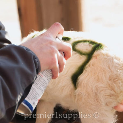 Sprayline Marking Paint for Sheep & Livestock (400mL - Green) - style: 400mL - Green