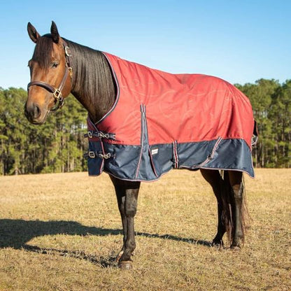 Jeffers Poplar Head Uniquely English 1200 Denier Turnout Blanket with High Neck, 240 Gram, Merlot Snaffles & Irons, 69" - size: 69 in
