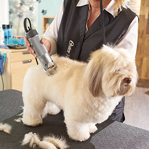 Oster Clipmaster Hair Clippers for Large Dog, Cat, and Pet Grooming with Detachable Blade for Thick Coats, Gray - color: Gray
