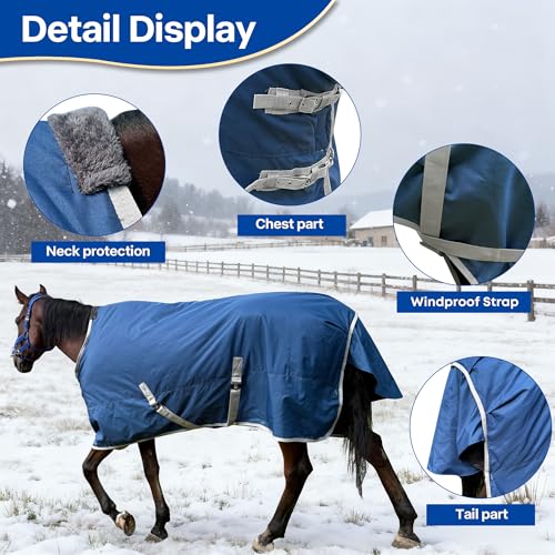 Winter 1200D Premium Turnout Horse Blanket,Medium Weight Waterproof Blanket - size: Back Length 81 inches ( 155cm ) no cover