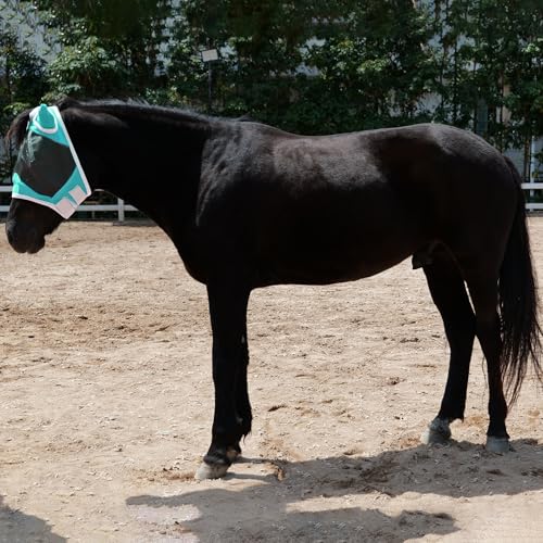 Horse Fly Mask with Ears, Full Face Equine Fly Mask UV Protection - color: Turquoise, size: Cob (Medium)