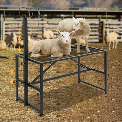 Milking Stand with a Ramp, Adjustable Milking Stand, Metal Goat Stand for Trimming Hooves 500 Lbs for Small Sheep and Goat