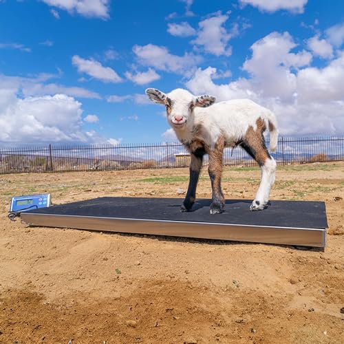 PEC Livestock Animal Scale/Farm Animal Scales for Weighing Small to Medium Sized Animals, Lamb, Goat, Sheep, Pigs, hogs, Donkey, Calf, Digital Indicator Included, Capacity 700lbs (38″ x 20″) - style: 38"x 20"