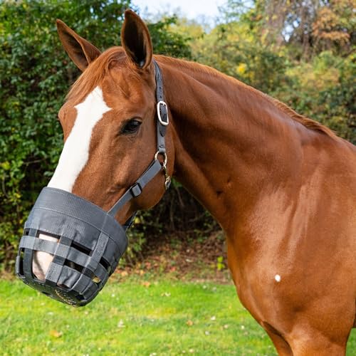 Best Friend Deluxe Leather Crown Grazing Muzzle - Horse Muzzle with Attached Halter, Adjustable, Breakaway, Lightweight, Ventilated, for Controlled Grazing - Dark Grey, Horse Size - size: Horse