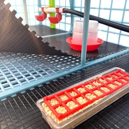 Hatching Time 9.5" Chick Brooders – Stackable or 2-Section Options with Automatic Heating, Modular Design, Easy to Clean, Ideal for Quail, Pheasant, and Baby Chicks (3 Layer) - style: 3 Section, 3 Layer