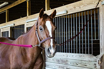 Tack Shack of Ocala Nylon Quick Release Cross Ties, Set of 2, Cross Ties for Barn, Stable Supplies - color: Navy