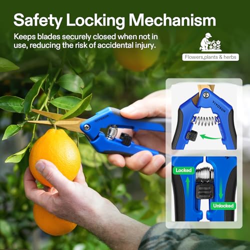VIVOSUN Curved Gardening Scissors 6.5 Inch Hand Pruner Shear with Titanium Coated Blades 1-Pack | Curved Precision Stainless Steel Blades, Comfort Ergonomic Grips, Ideal Snip for deadheading, Trimming & Shaping Plants - style: Blue Curved Blade