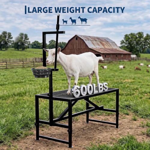 600LBS Goat Milking Stand with Feed Bin, 47" Adjustable Grooming Table - color: Black, size: 47 inch