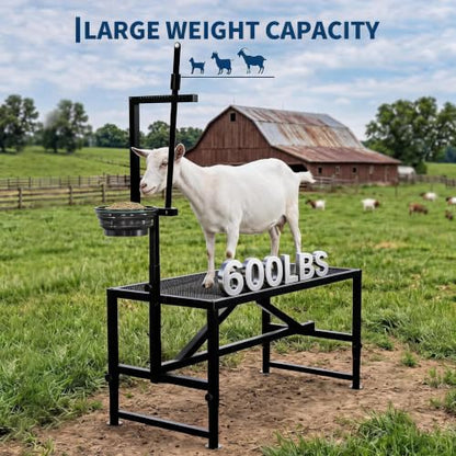 600LBS Goat Milking Stand with Feed Bin, 47" Adjustable Grooming Table - color: Black, size: 47 inch