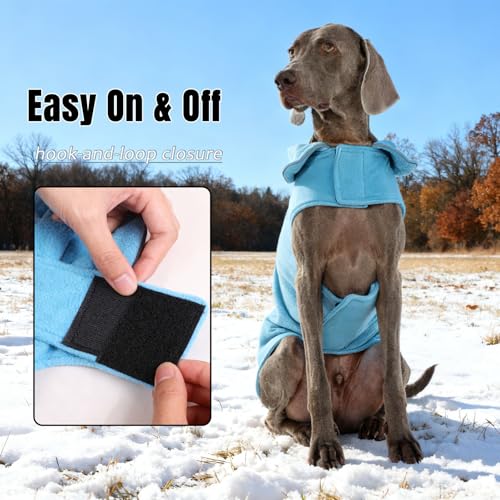 DENTRUN Reversible Dog Winter Coat, Windproof Polar Fleece Reflective Vest | Hook & loop easy on/off, sleeveless, XS-XXXL for all breeds, warm reversible vest. - color: Blue, size: X-Small