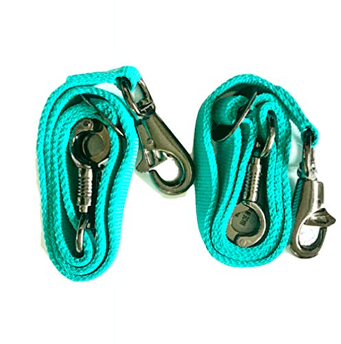 Majestic Ally Pack of 2, Double Thick Trailer Tie for Horse Haulage with Adjustable Buckle, Panic Snap and Bull Snap – 1 Inch by 36 Inch (Turquoise) - color: Turquoise