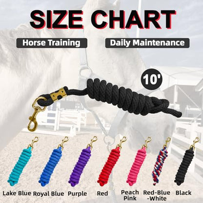 5/8" x 8' Nylon Horse Lead Rope with Cast Iron Hardware (Black) - color: Black