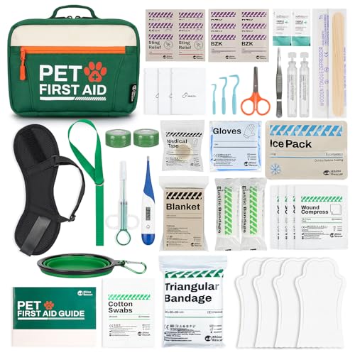 RHINO RESCUE Bundle - Pet First Aid Kit, Emergency Medical Supplies for Dogs & Cats, Safety Essentials Pack with Thermometer+350 Pieces OSHA All-Purpose First Aid Kit, Home & Office