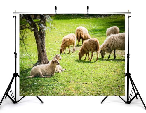 7x5ft Fabric Grazing Wool Sheep Backdrop Flock Resting Under Tree Fresh Green Grass Sunny Pasture Farm Background Tapestry Country Animal Decorations Photo Booth Props - size: 7x5ft
