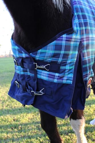 Challenger 600D Horse Turnout Waterproof 300G Polyfill Winter Blanket Turquoise 21EE03 - color: Turquoise Navy Plaid, size: 60 inches