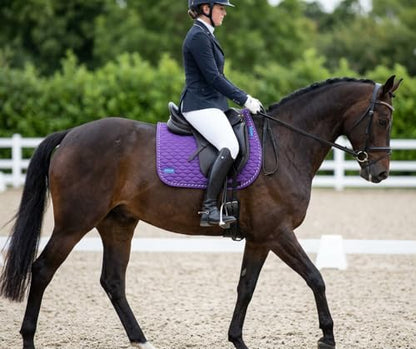 Horse Saddle Pad English Quilted Contoured All-Purpose Trail 72TS09 - color: Purple