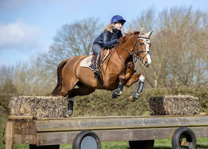 LeMieux Cross Country Front Horse Boots - Protective Gear and Training Equipment - Equine Boots, Wraps & Accessories