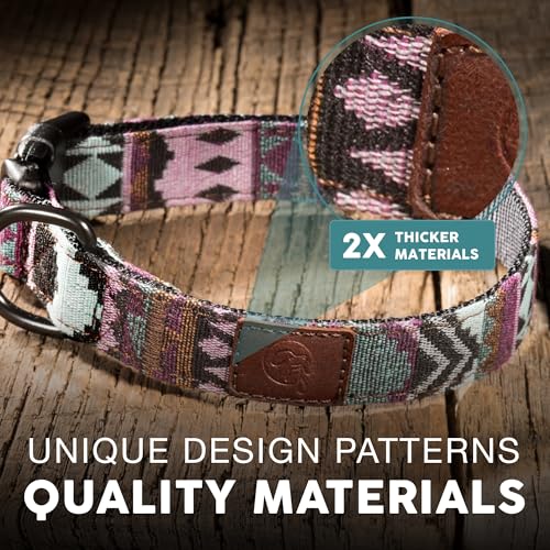 Embark Dog Collar - Adjustable Heavy Duty Outdoor Pet Training Collar - color: Aztec, size: Medium