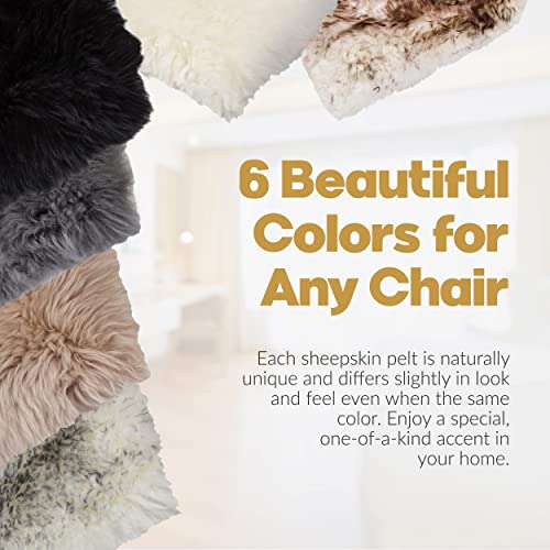 Natural Sheepskin Chair Pad, Non-Slip, Black, 1 Pack - color: Black, size: 1 Count (Pack of 1)
